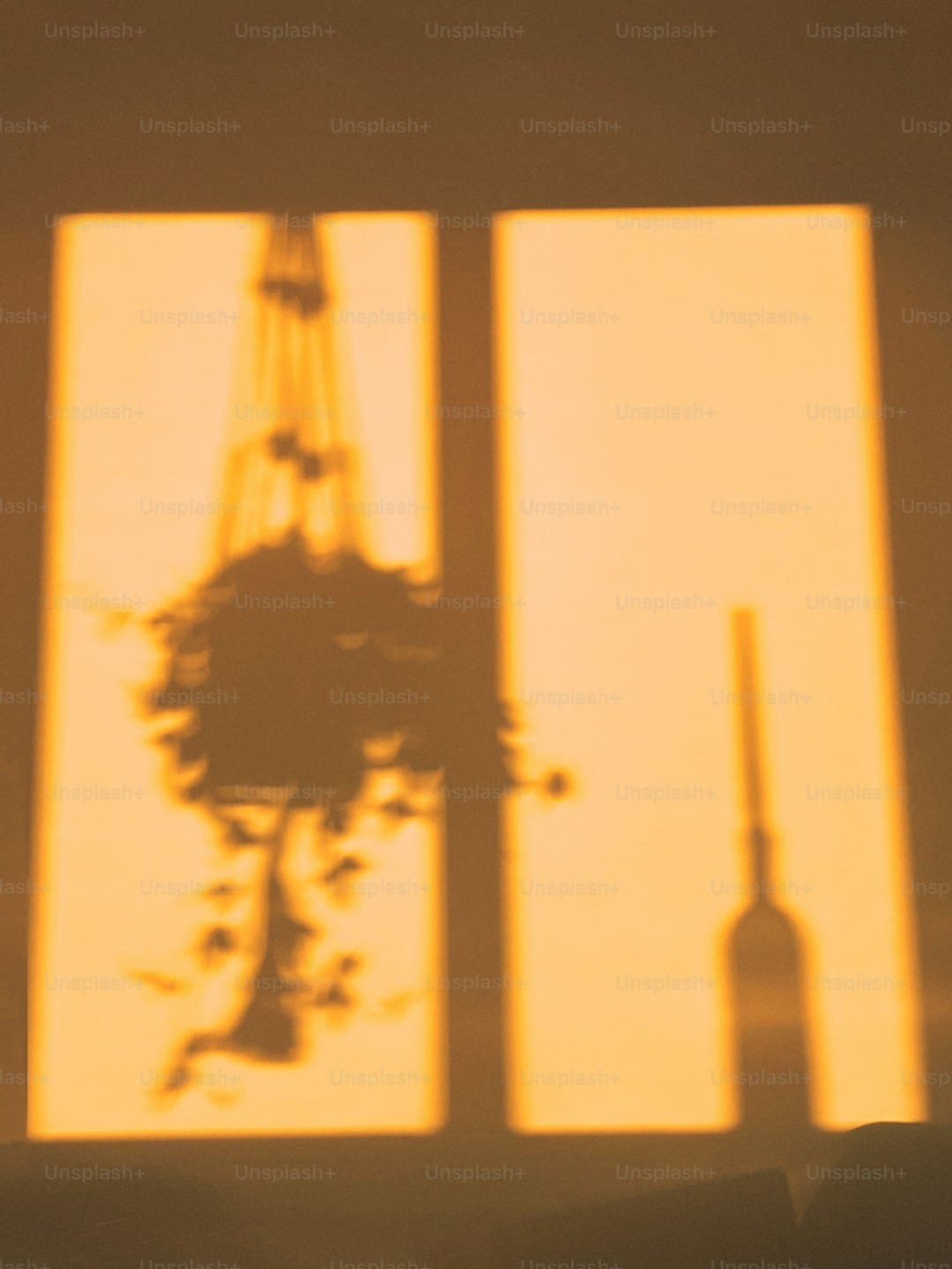 鲤城区经过一批人事任免！